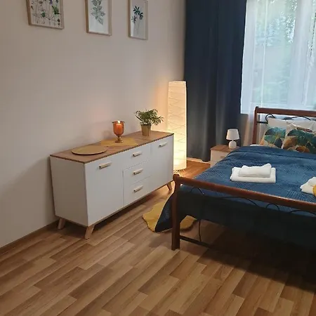 Comfy & Cozy Slodowiec